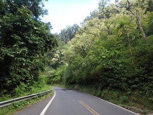 The Road to Hana surrounded by lush greenery