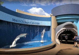 Maui Ocean Center, The Aquarium of Hawaii